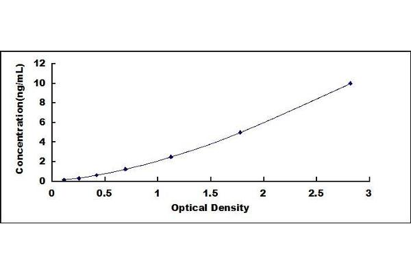 CASP5 ELISA Kit