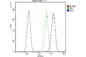 Flow Cytometry analysis of A549 cells using anti-FGG antibody (ABIN4886589). (FGG antibody  (N-Term))