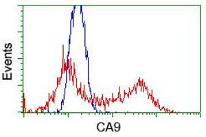 HEK293T cells transfected with either pCMV6-ENTRY CA9 (RC204839) (Red) or empty vector control plasmid (Blue) were immunostained with anti-CA9 mouse monoclonal (ABIN2452557, Dilution 1:1,000), and then analyzed by flow cytometry. (CA9 antibody)