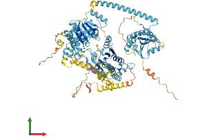 AlphaFold protein structure predicition of Human Recombinant CHD1L Protein, UniprotID Q86WJ1