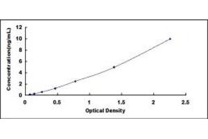 Typical standard curve (NPX1 ELISA Kit)