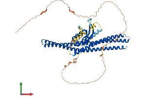 AlphaFold protein structure predicition of Mouse Recombinant Snx1 Protein, UniprotID Q9WV80