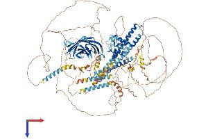EH Domain Binding Protein 1 (EHBP1) (AA 1-1231) protein (His tag)