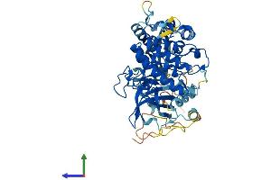 AlphaFold protein structure predicition of Human Recombinant SGK3 Protein, UniprotID Q96BR1