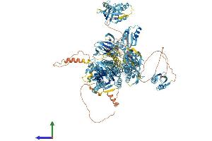 Protein Structure (PS) image for ATPase, Cu++ Transporting, alpha Polypeptide (ATP7A) (AA 1-1500) protein (His tag) (ABIN7552494)