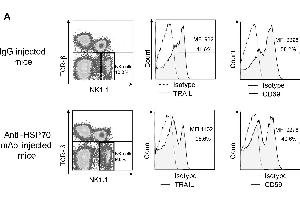 Flow Cytometry (FACS) image for anti-Heat Shock Protein 70 (HSP70) antibody (ABIN361707)