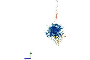 AlphaFold protein structure predicition of Mouse Recombinant Tmem67 Protein, UniprotID Q8BR76