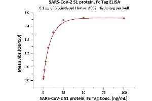 Immobilized Biotinylated Human ACE2, His,Avitag (ABIN6952428) at 1 μg/mL (100 μL/well) on streptavidin precoated (0. (SARS-CoV-2 Spike S1 Protein (Fc Tag))