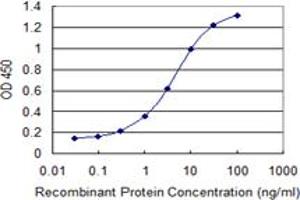 Detection limit for recombinant GST tagged FREQ is 0. (NCS1 antibody  (AA 1-190))
