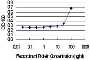 Detection limit for recombinant GST tagged MYLK4 is 10 ng/ml as a capture antibody. (MYLK4 antibody  (AA 3-100))
