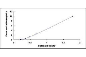 Typical standard curve (LIN28A ELISA Kit)