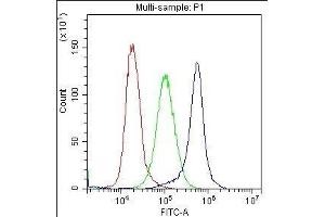 Flow Cytometry analysis of K562 cells using anti-CD59 antibody . (CD59 antibody  (AA 26-102))