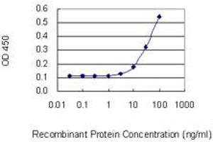 Detection limit for recombinant GST tagged GRP is 3 ng/ml as a capture antibody. (Gastrin-Releasing Peptide antibody  (AA 1-148))
