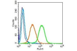 Human U937 cells probed with CD112 Polyclonal Antibody, Unconjugated  (green) at 1:100 for 30 minutes followed by a PE conjugated secondary antibody compared to unstained cells (blue), secondary only (light blue), and isotype control (orange). (PVRL2 antibody  (AA 251-350))