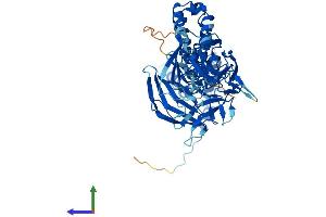 AlphaFold protein structure predicition of Human Recombinant KLHL38 Protein, UniprotID Q2WGJ6