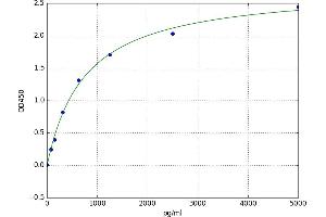 Microtubule-Associated Protein 1 Light Chain 3 beta (MAP1LC3B) ELISA Kit