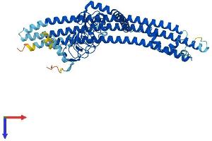 EPS8-Like 1 Protein (EPS8L1) (AA 1-523) (His tag)