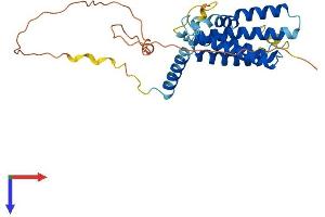 AlphaFold protein structure predicition of Human Recombinant PLPP6 Protein, UniprotID Q8IY26 (PPAPDC2 Protein (AA 1-295) (His tag))