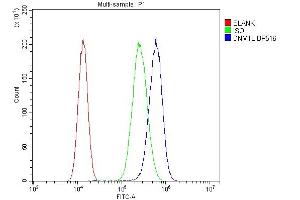 Flow Cytometry analysis of A549 cells using anti-DRP1/DNM1L antibody (ABIN7602180).
