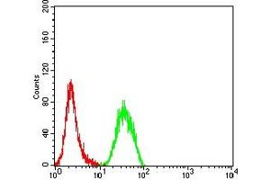 Flow cytometric analysis of Hela cells using ULBP1 mouse mAb (green) and negative control (red). (ULBP1 antibody  (AA 26-216))