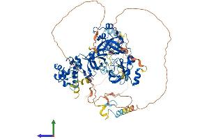 Protein Structure (PS) image for L(3)mbt-Like 3 (L3MBTL3) (AA 1-780) protein (His tag) (ABIN7554414)