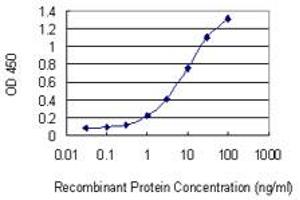 Detection limit for recombinant GST tagged NRXN1 is 0. (Neurexin 1 antibody  (AA 31-130))
