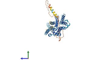 AlphaFold protein structure predicition of Mouse Recombinant Slc35d3 Protein, UniprotID Q8BGF8 (SLC35D3 Protein (AA 1-422) (His tag))