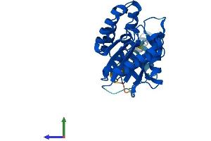 Protein Structure (PS) image for Phosphatidylinositol Glycan L (PIGL) (AA 1-252) protein (His tag) (ABIN7557551)