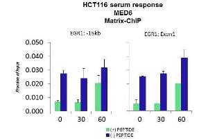 Quiescent human colon carcinoma HCT116 cultures were treated with 10% FBS for three time points (0, 15, 30min) or (0, 30, 60min) were used in Matrix-ChIP and real-time PCR assays at EGR1 gene (Exon1) and 15kb upstream site. (MED6 antibody  (Middle Region))