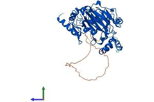 AlphaFold protein structure predicition of Human Recombinant JMJD6 Protein, UniprotID Q6NYC1