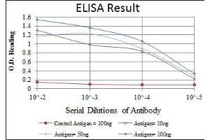 Red: Control Antigen (100 ng), Purple: Antigen (10 ng), Green: Antigen (50 ng), Blue: Antigen (100 ng), (OLIG2 antibody)