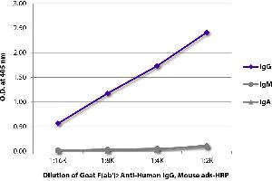 ELISA plate was coated with purified human IgG, IgM, and IgA. (Goat anti-Human IgG Antibody (HRP) - Preadsorbed)