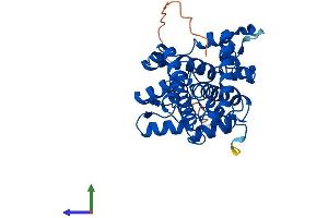 AlphaFold protein structure predicition of Human Recombinant SCD Protein, UniprotID O00767 (SCD Protein (AA 1-359) (His tag))