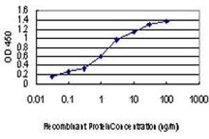 Detection limit for recombinant GST tagged PTK2 is approximately 0. (FAK antibody  (AA 355-490))