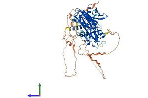 AlphaFold protein structure predicition of Mouse Recombinant Dtx2 Protein, UniprotID Q8R3P2 (DTX2 Protein (AA 1-619) (His tag))