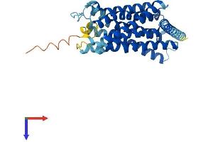 AlphaFold protein structure predicition of Mouse Recombinant Gpr18 Protein, UniprotID Q8K1Z6 (GPR18 Protein (AA 1-331) (His tag))