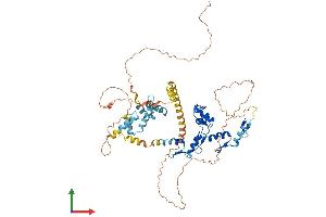 AlphaFold protein structure predicition of Human Recombinant ZKSCAN1 Protein, UniprotID P17029 (ZKSCAN1 Protein (AA 1-563) (His tag))