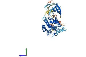 AlphaFold protein structure predicition of Mouse Recombinant Map2k6 Protein, UniprotID P70236 (MAP2K6 Protein (AA 1-334) (His tag))