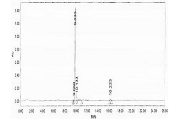 Enkephalin Protein (KLH)