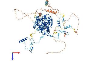 GNL2 Protein (AA 1-731) (His tag)