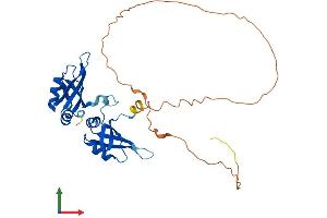Protein Structure (PS) image for Heterogeneous Nuclear Ribonucleoprotein A0 (HNRNPA0) (AA 1-305) protein (His tag) (ABIN7560708)