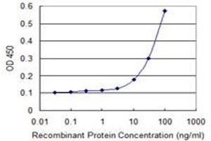 Detection limit for recombinant GST tagged DNAJC10 is 3 ng/ml as a capture antibody. (DNAJC10 antibody  (AA 688-793))