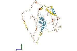 AlphaFold protein structure predicition of Mouse Recombinant Sp5 Protein, UniprotID Q9JHX2