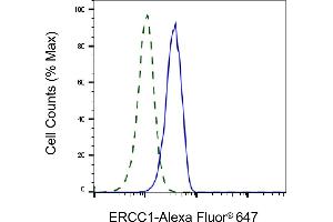 Validation of ERCC1 knockdown using flow cytometry. (Recombinant ERCC1 antibody)