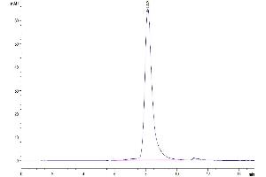 The purity of Human PLD4 is greater than 95 % as determined by SEC-HPLC. (Phospholipase D4 Protein (PLD4) (AA 52-506) (His tag))