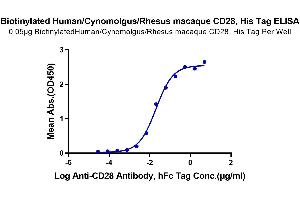 ELISA image for CD28 (CD28) (AA 19-152) protein (His-Avi Tag,Biotin) (ABIN7274256)