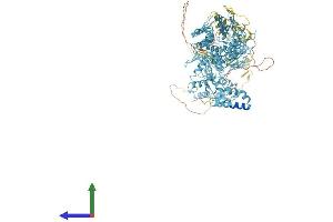 AlphaFold protein structure predicition of Human Recombinant ZNF850 Protein, UniprotID A8MQ14 (ZNF850 Protein (AA 1-1090) (His tag))