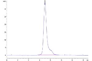 The purity of Human Siglec-5 is greater than 95 % as determined by SEC-HPLC. (SIGLEC5 Protein (AA 17-434) (His-Avi Tag))