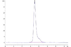 The purity of Human Siglec-5 is greater than 95 % as determined by SEC-HPLC. (SIGLEC5 Protein (AA 17-434) (His-Avi Tag))
