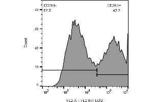 Flow cytometry analysis (surface staining) of CD261-transfected HEK-293 cells with anti-CD261/TRAIL-R1 (DR-4-02) PE. (TNFRSF10A antibody  (PE))